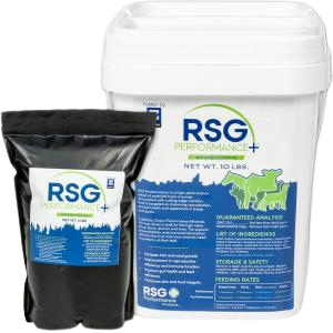 RSG P+ – Edited
